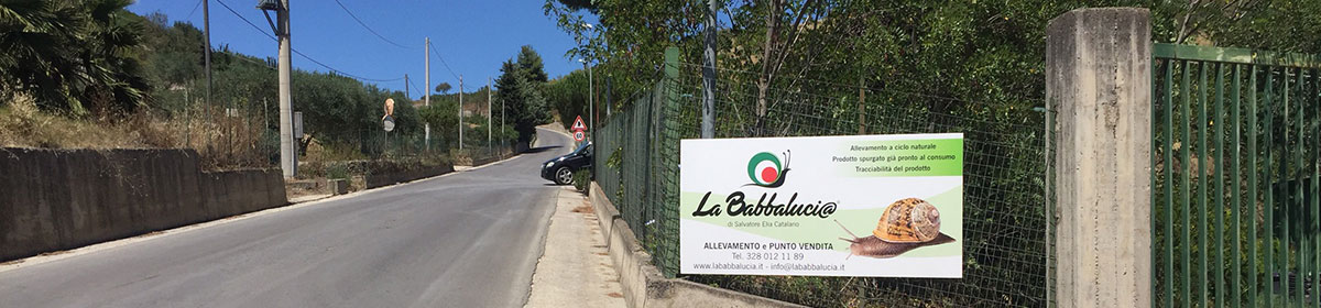 La Babbaluci@