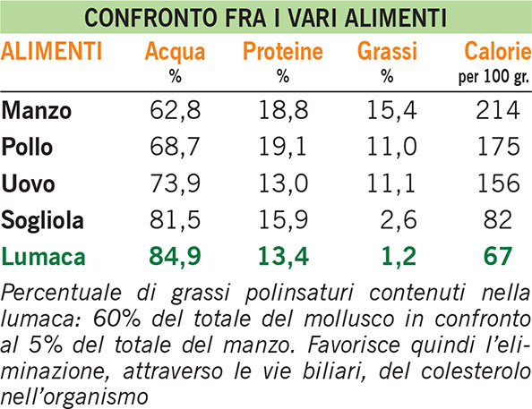 Confronto fra i vari alimenti